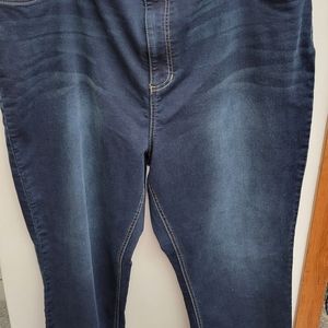 Catherine's Jeggings